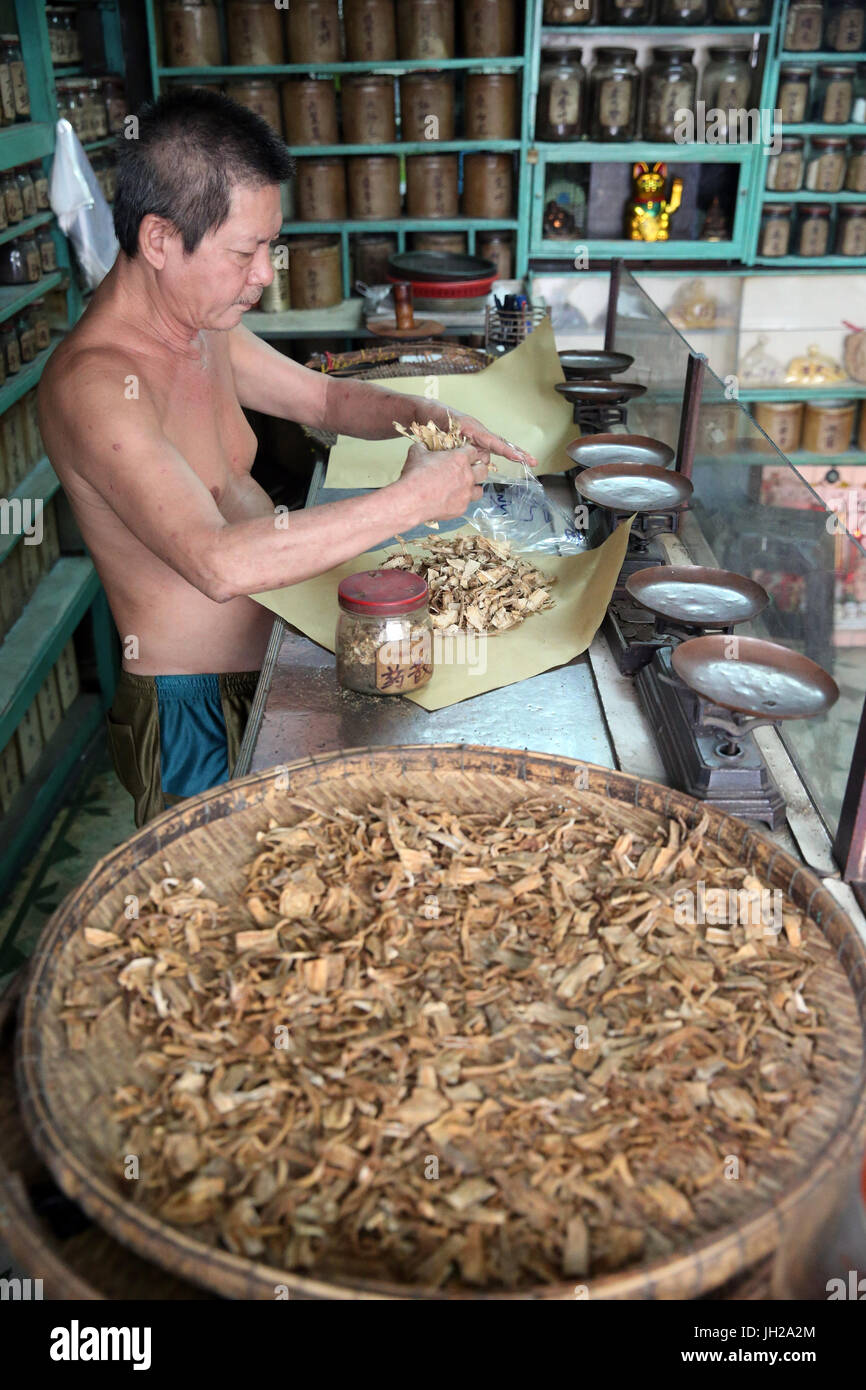 Traditional Chinese medicine pharmacy.  Herbal medicine therapy.  Ho Chi Minh City. Vietnam. Stock Photo