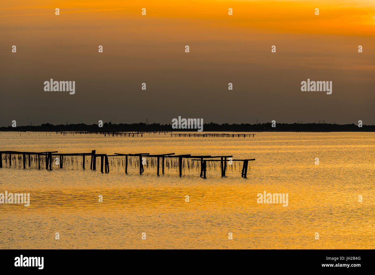Po delta river hi-res stock photography and images - Page 8 - Alamy