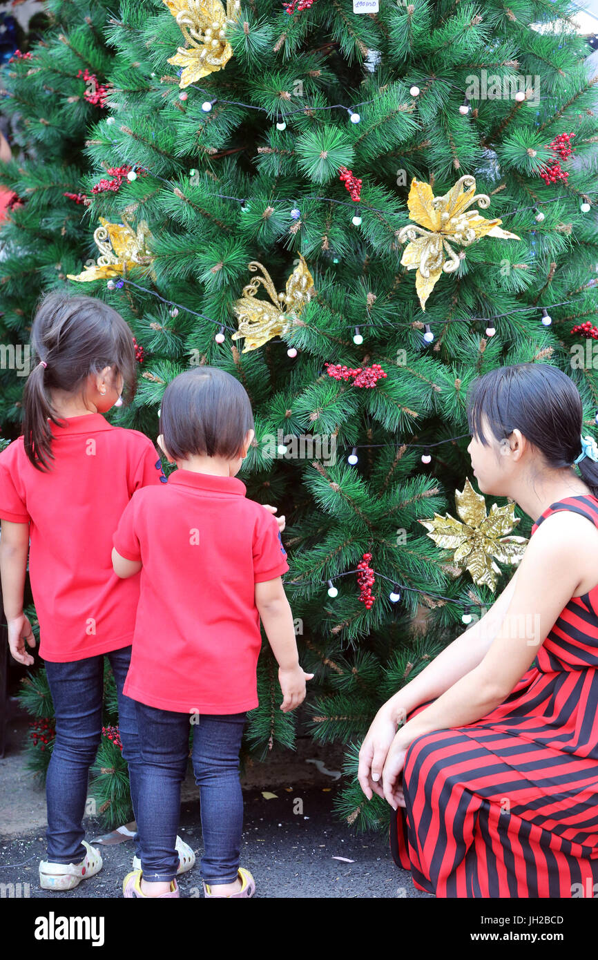 Christmas market.  Christmas tree.  Vietnam. Stock Photo