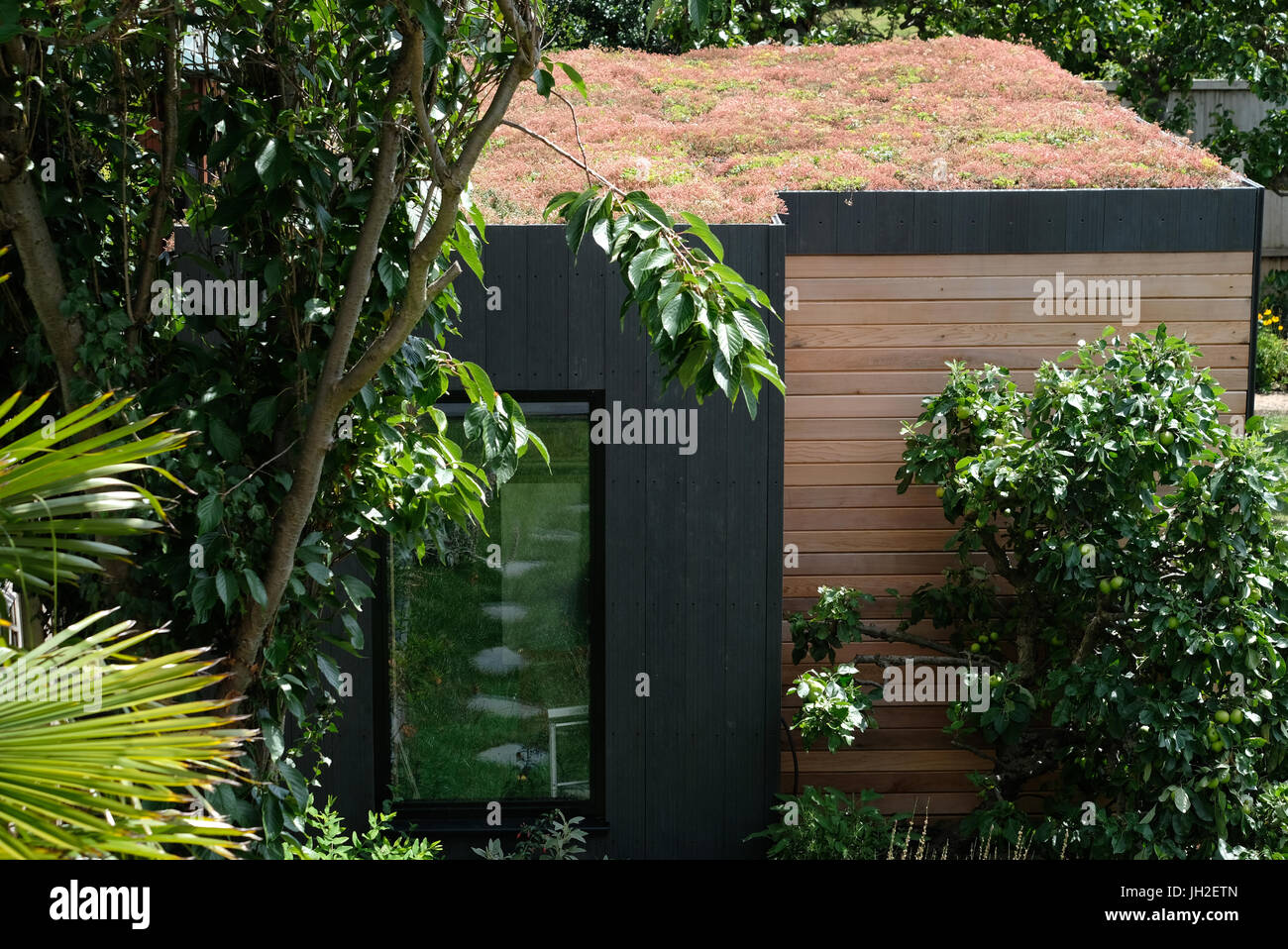 Garden room, green retreat with living sedum roof Stock Photo