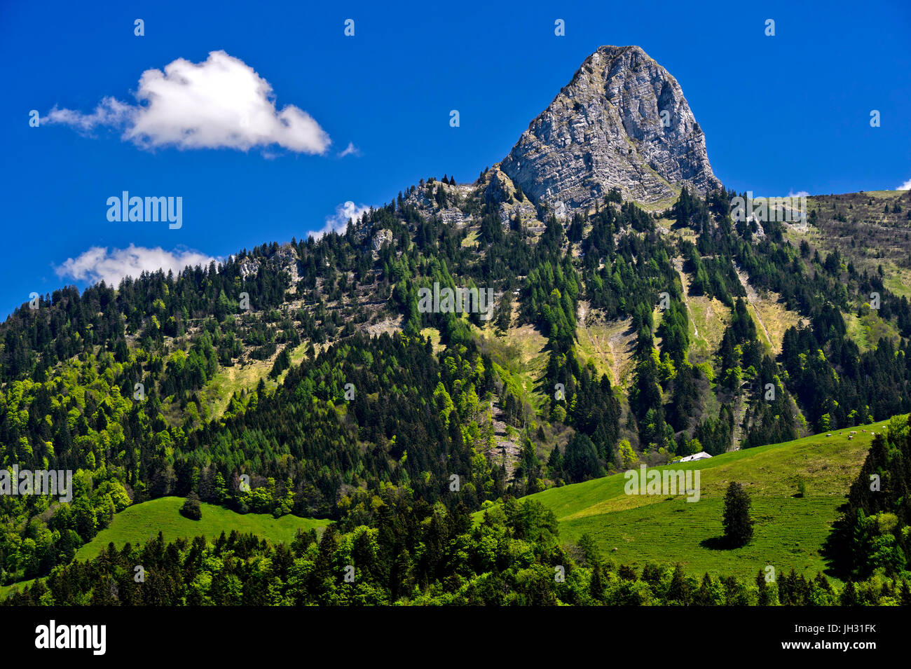 Peak Dent de Jaman above Montreux, Alps Bernoise, Vaud, Switzerland Stock Photo