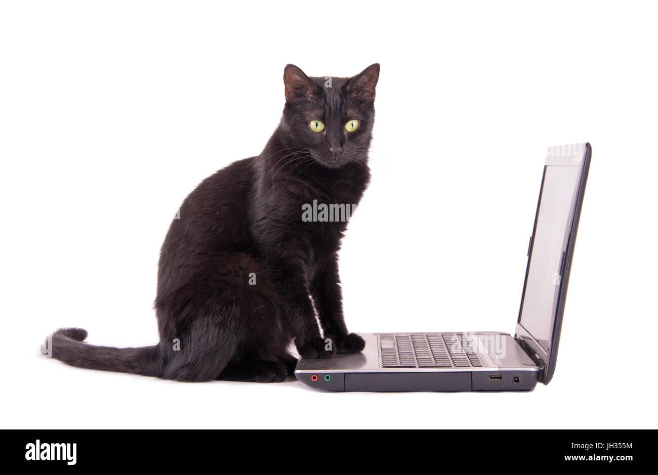 Black cat with a contemplating look on her face sitting with her front paws on top of a laptop computer, on white background Stock Photo