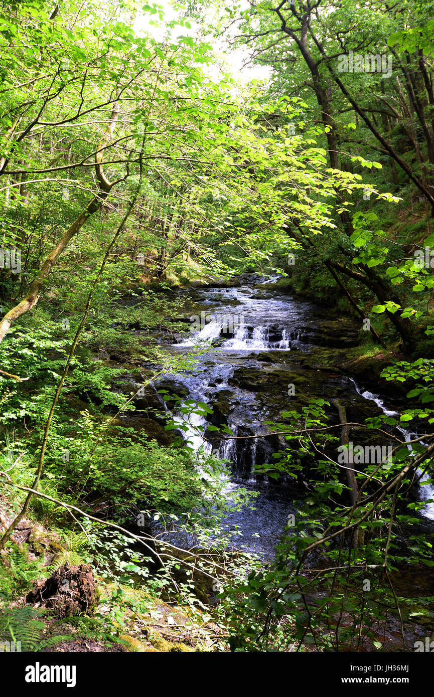 Sgwd Ddwli Isaf waterfall, Brecon Beacons, Wales, UK Stock Photo