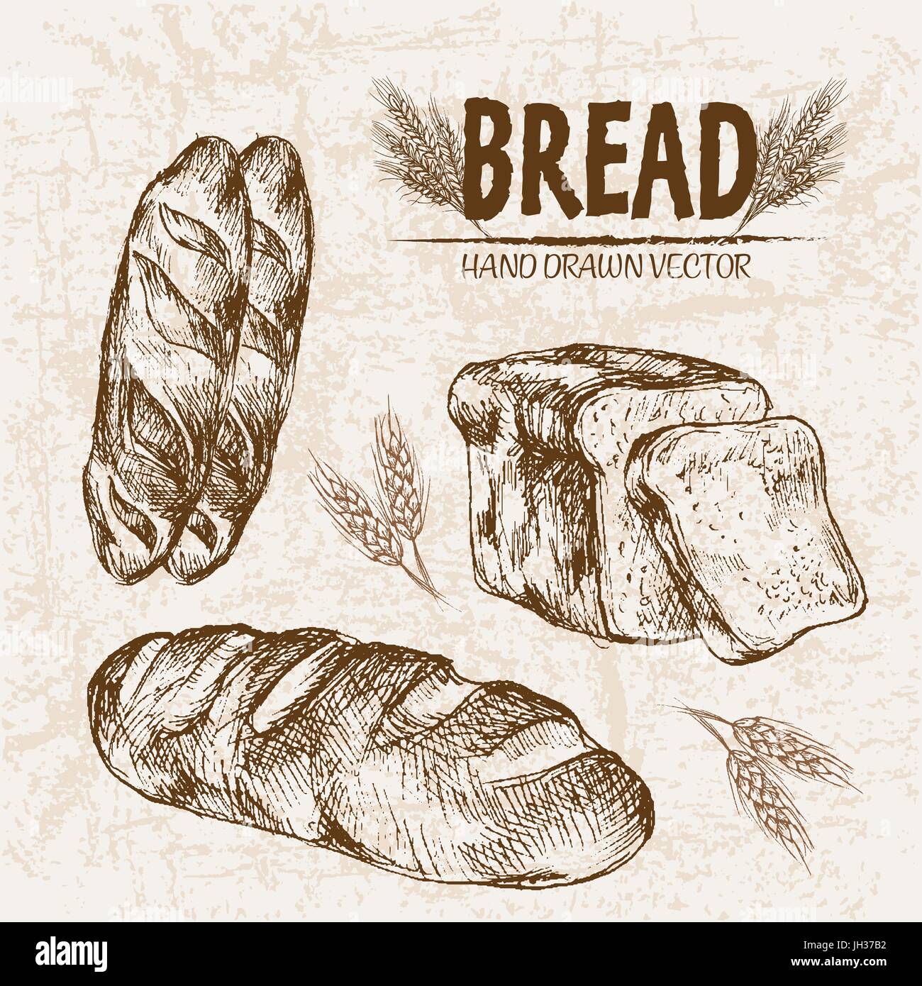 Share 86+ bread pencil sketch latest seven.edu.vn