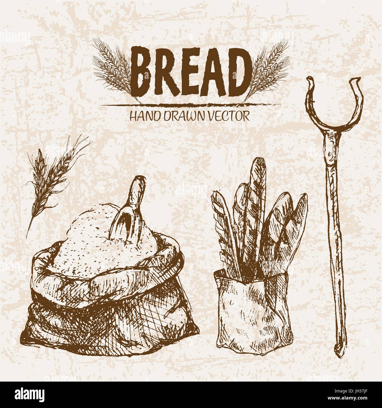 Digital vector detailed line art baked bread and dried wheat hand drawn ...