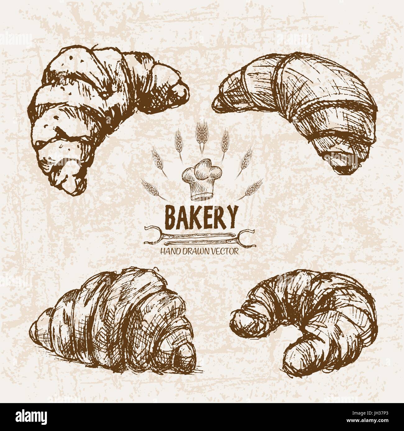 Digital vector detailed line art bakery bread and dried wheat hand ...