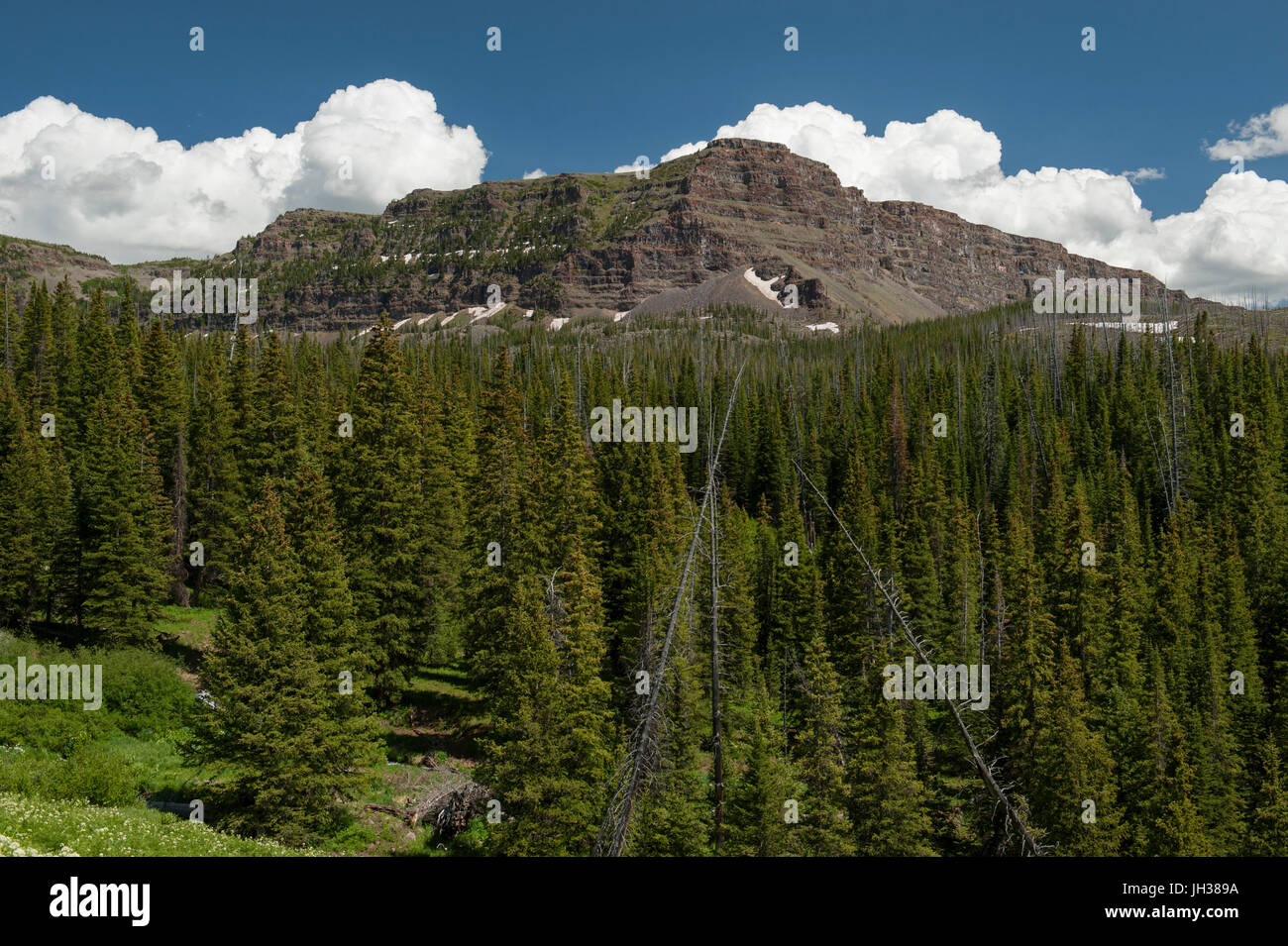 A portion of the Chinese Wall above the Skinny Fish Basin in northwest Colorado's Flat Tops Wilderness. Stock Photo