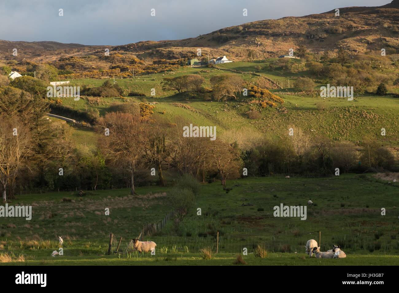 IRISH JOURNEY,COUNTY DONEGAL,IRELAND Stock Photo - Alamy