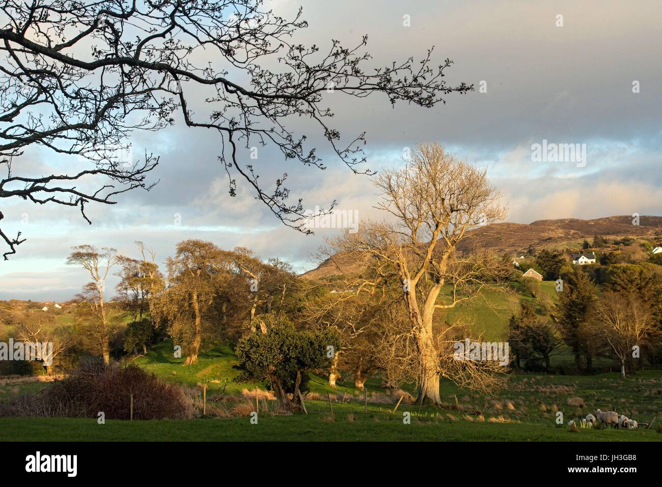 IRISH JOURNEY,COUNTY DONEGAL,IRELAND Stock Photo - Alamy