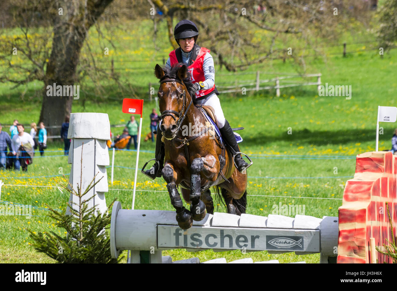 Tamara Acklin on Kontiki, cross country test of the CIC 3* competition at the International Marbach Eventing 2017 Stock Photo