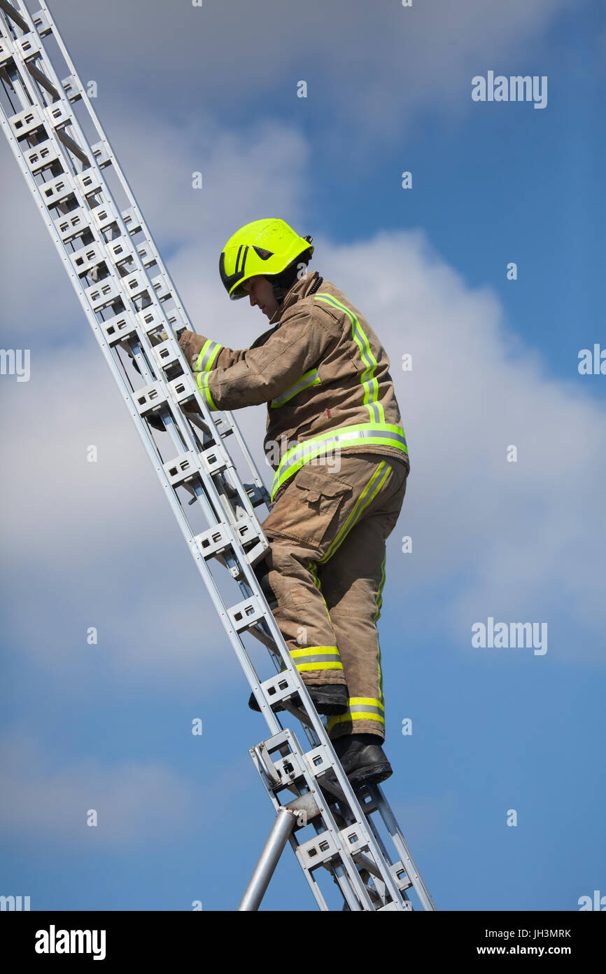 Ladders Grounded at Eric Dodson blog