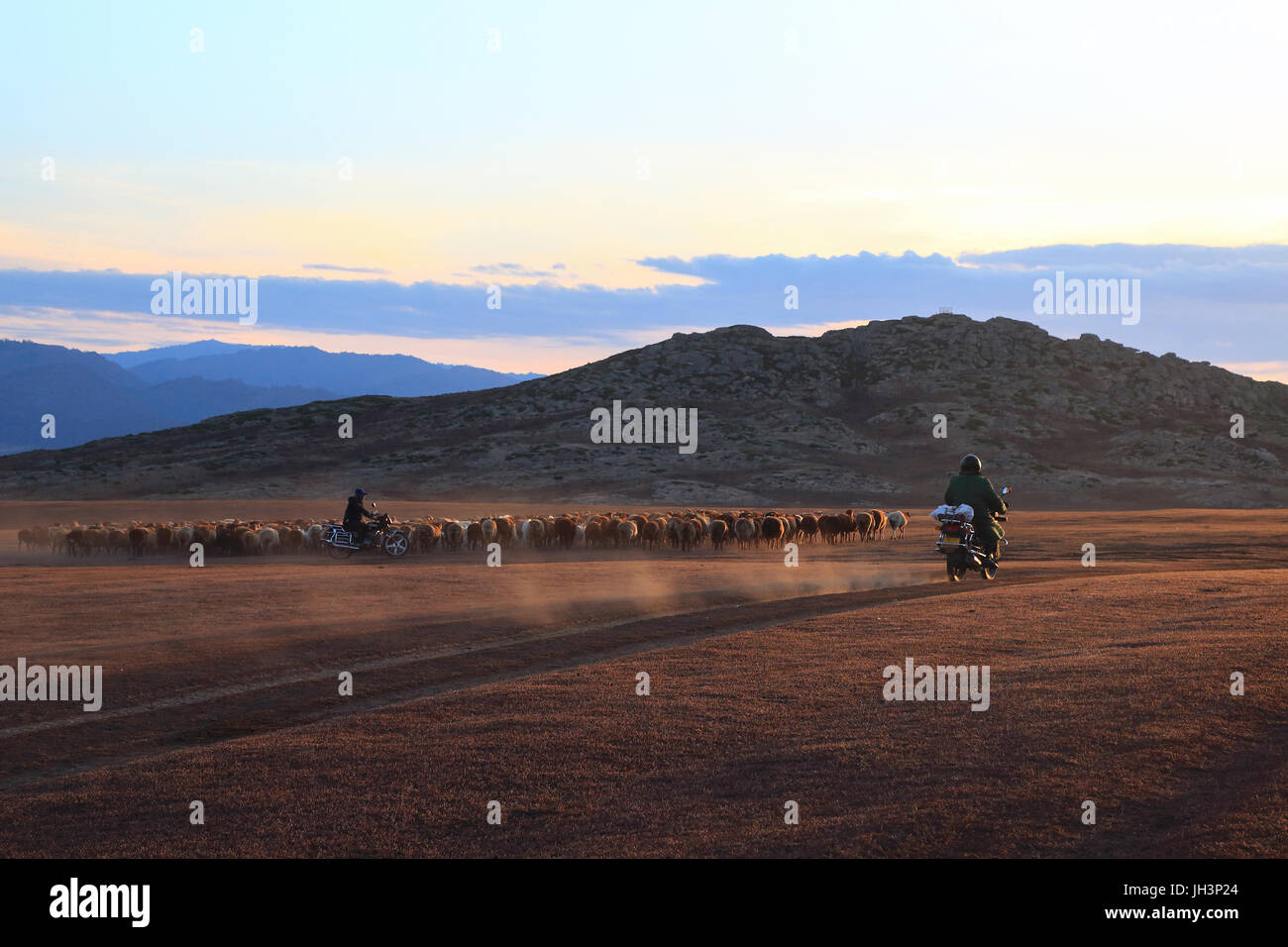 Kanas Xinjiang Ranch Stock Photo - Alamy