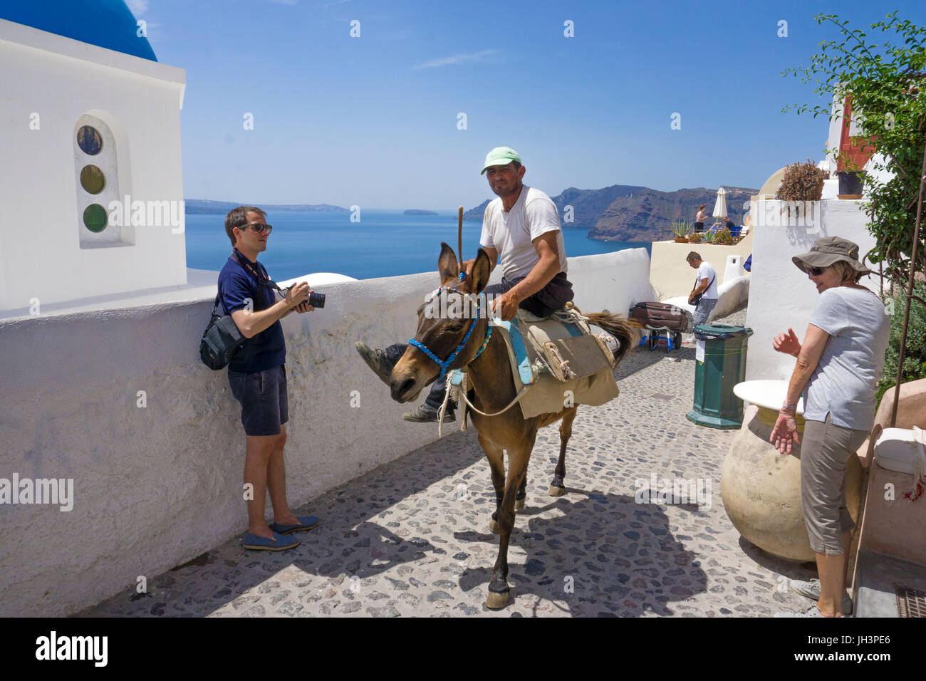 Einheimischer reitet auf einem Esel auf der Kraterrandgasse in Oia, Santorin, Kykladen, Aegaeis, Griechenland, Mittelmeer, Europa | Local man on a don Stock Photo