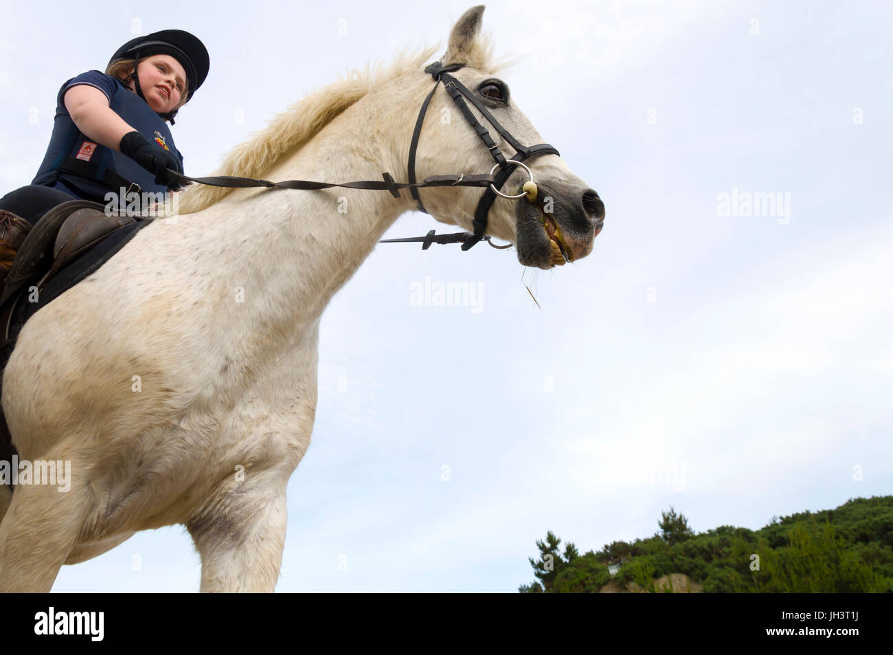 Horse horses ride riding children child copyspace copy space whi hires