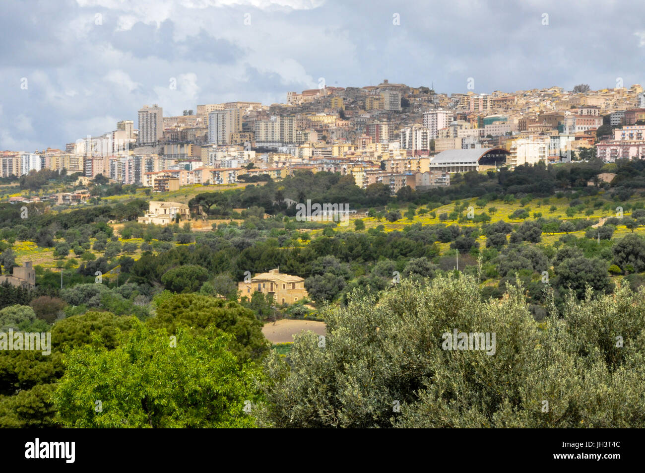 Olive groves on the outskirts of Agrigento, Sicily, Italy. Stock Photo