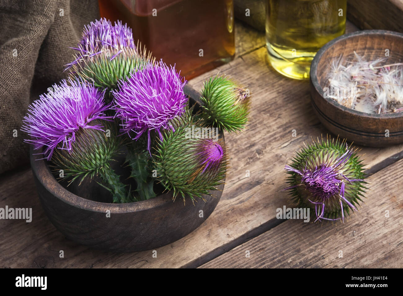Wild medicinal plant thistle on wooden background.Milk Thistle plant Stock Photo