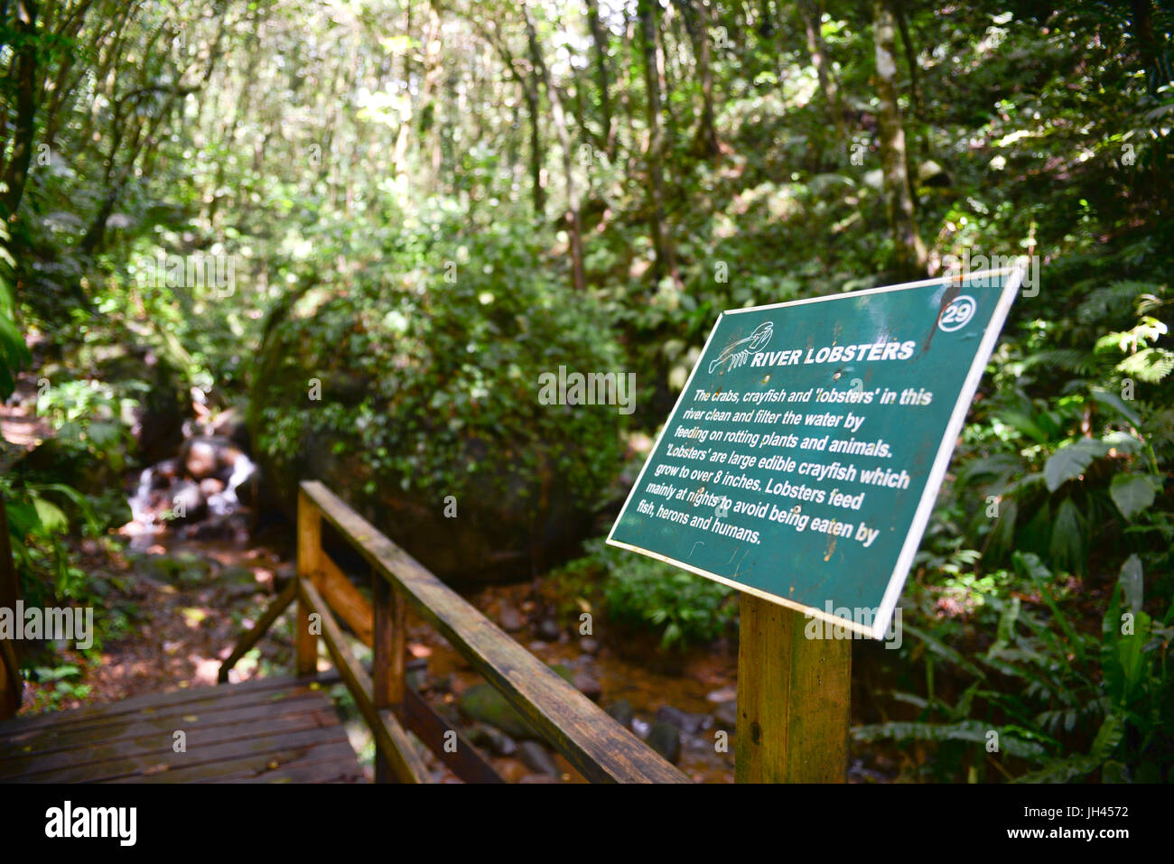 sign explaining river lobsters that can be found on the vermont nature trail in st. vincent, caribbean Stock Photo