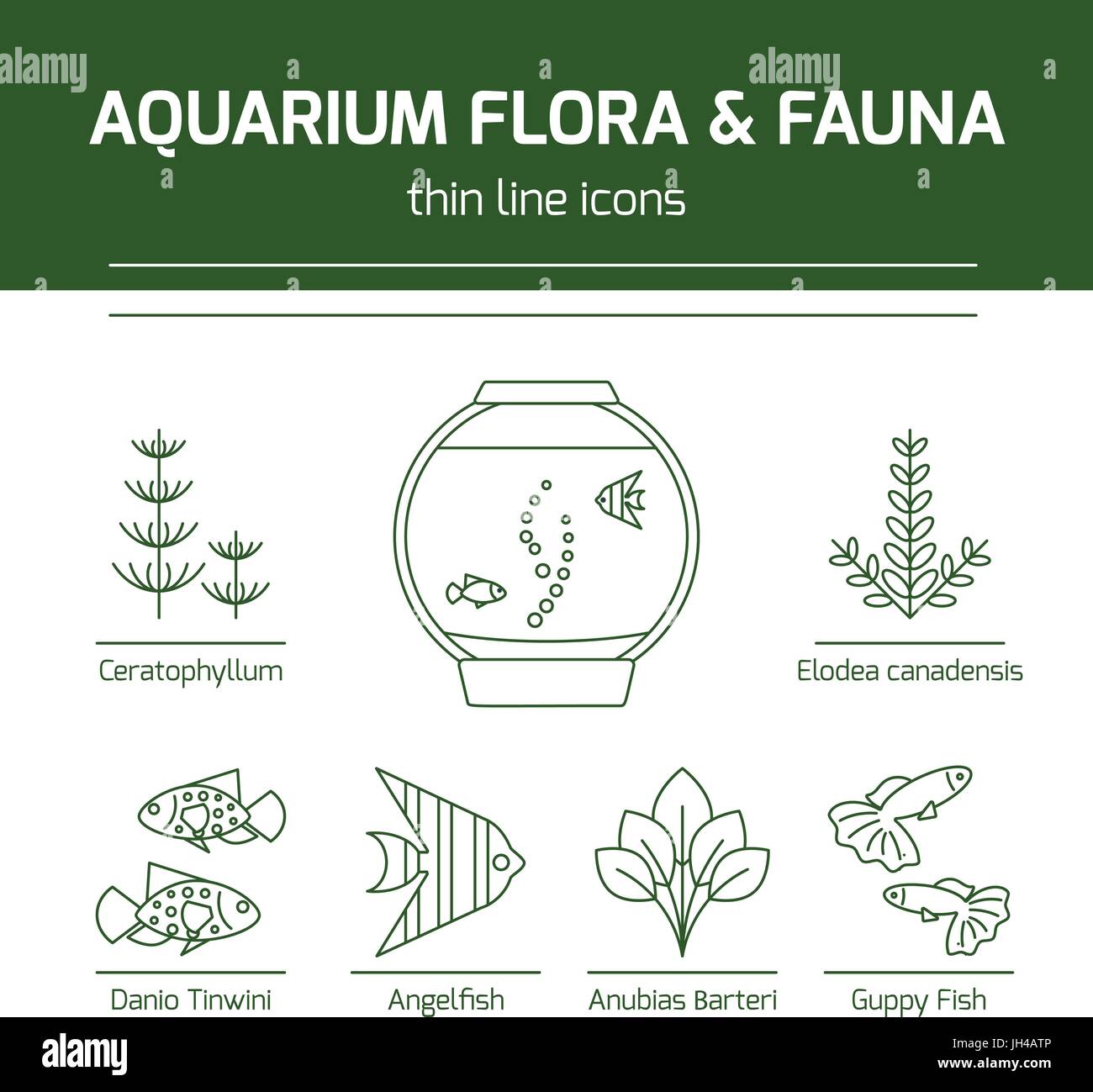 Marine flora and fauna hi-res stock photography and images - Alamy