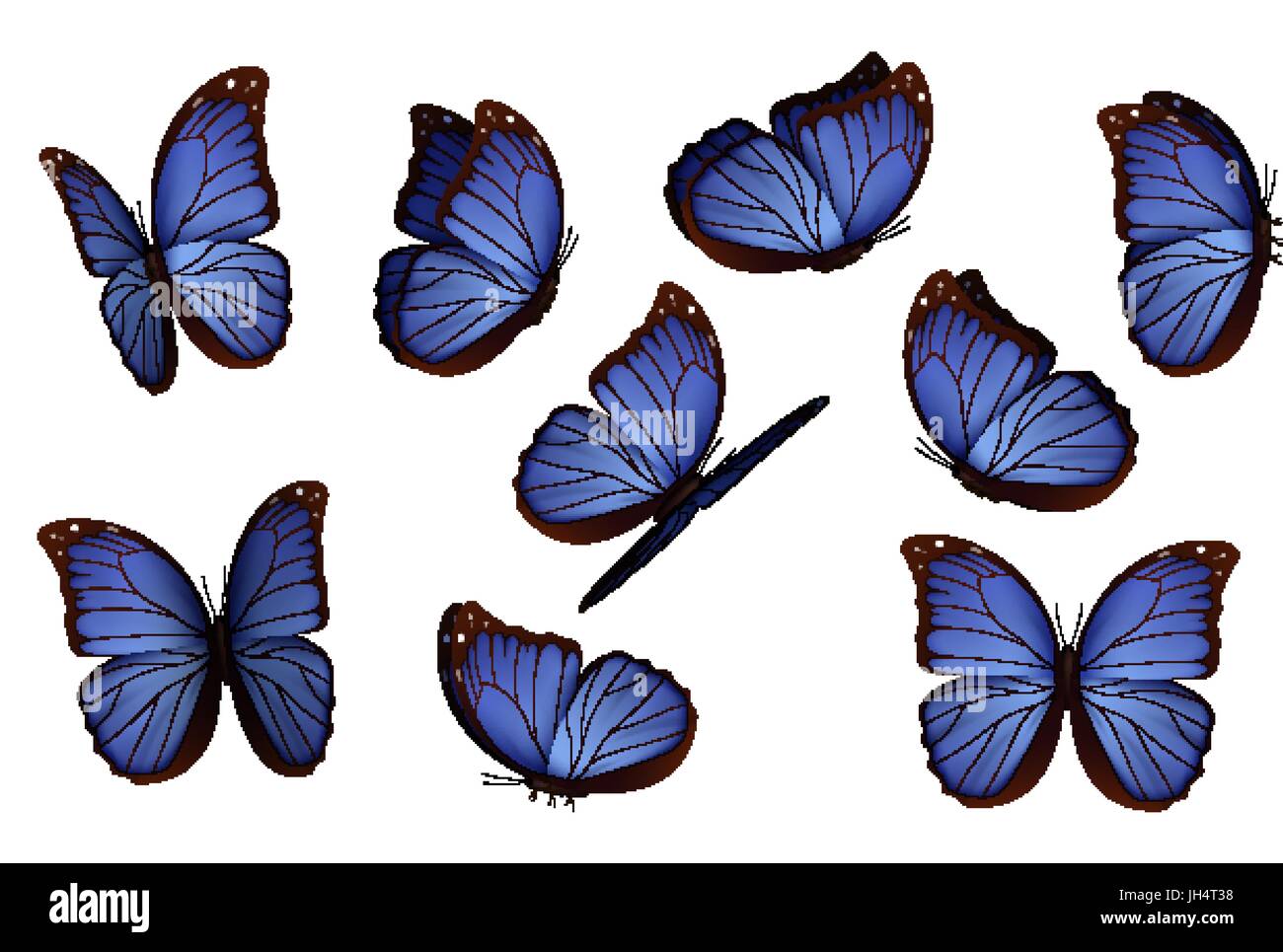 Set colorful isolated butterflies Stock Vector Image & Art - Alamy