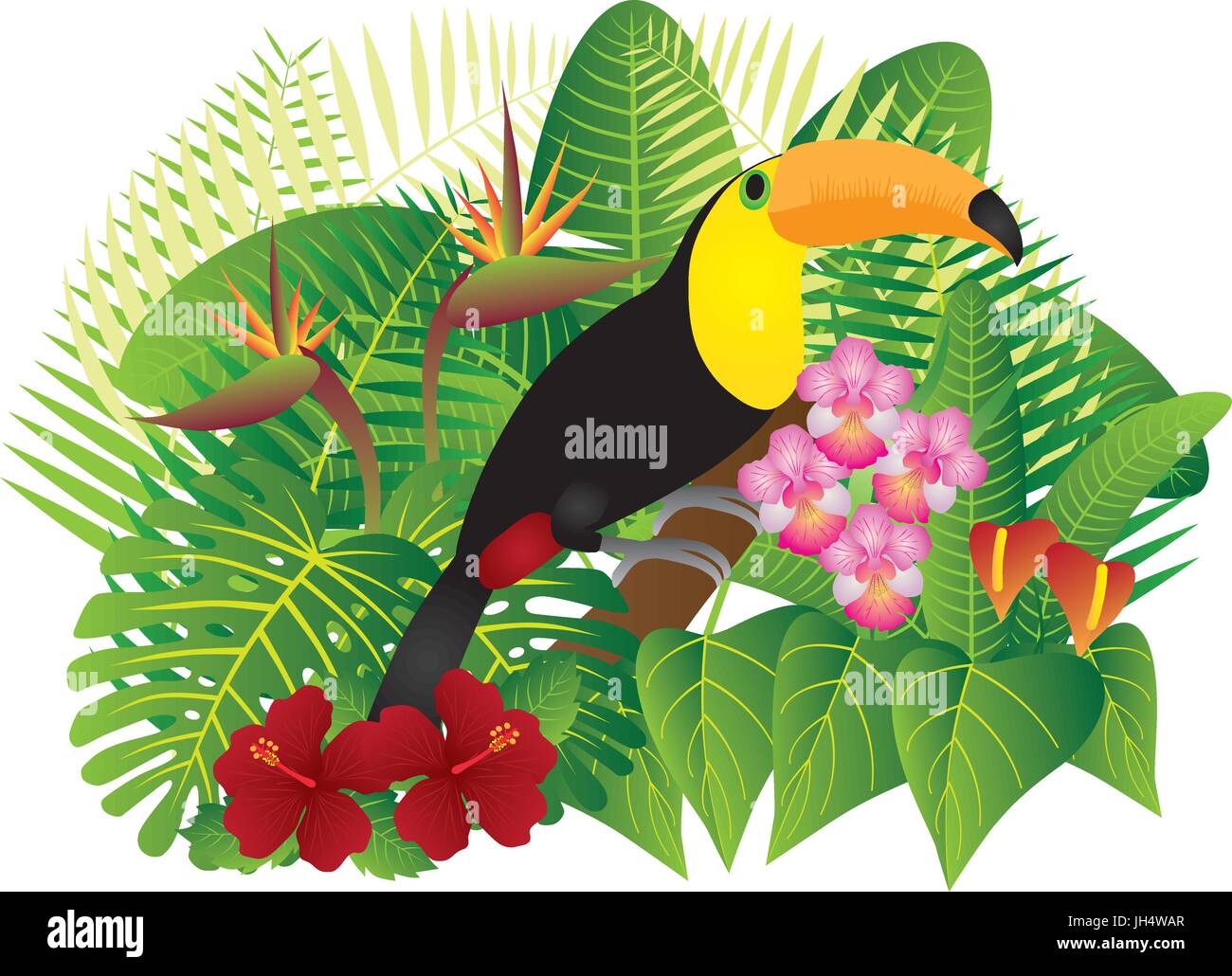 Tropical Rain Forest  Jungle Plants with Leaves Flowers and Toucan Bird Isolated on White Background Color Illustration Stock Vector