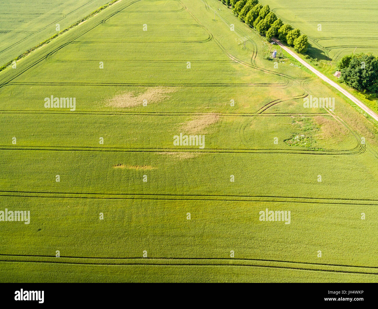 drone image. aerial view of rural area with green fields and forests in ...