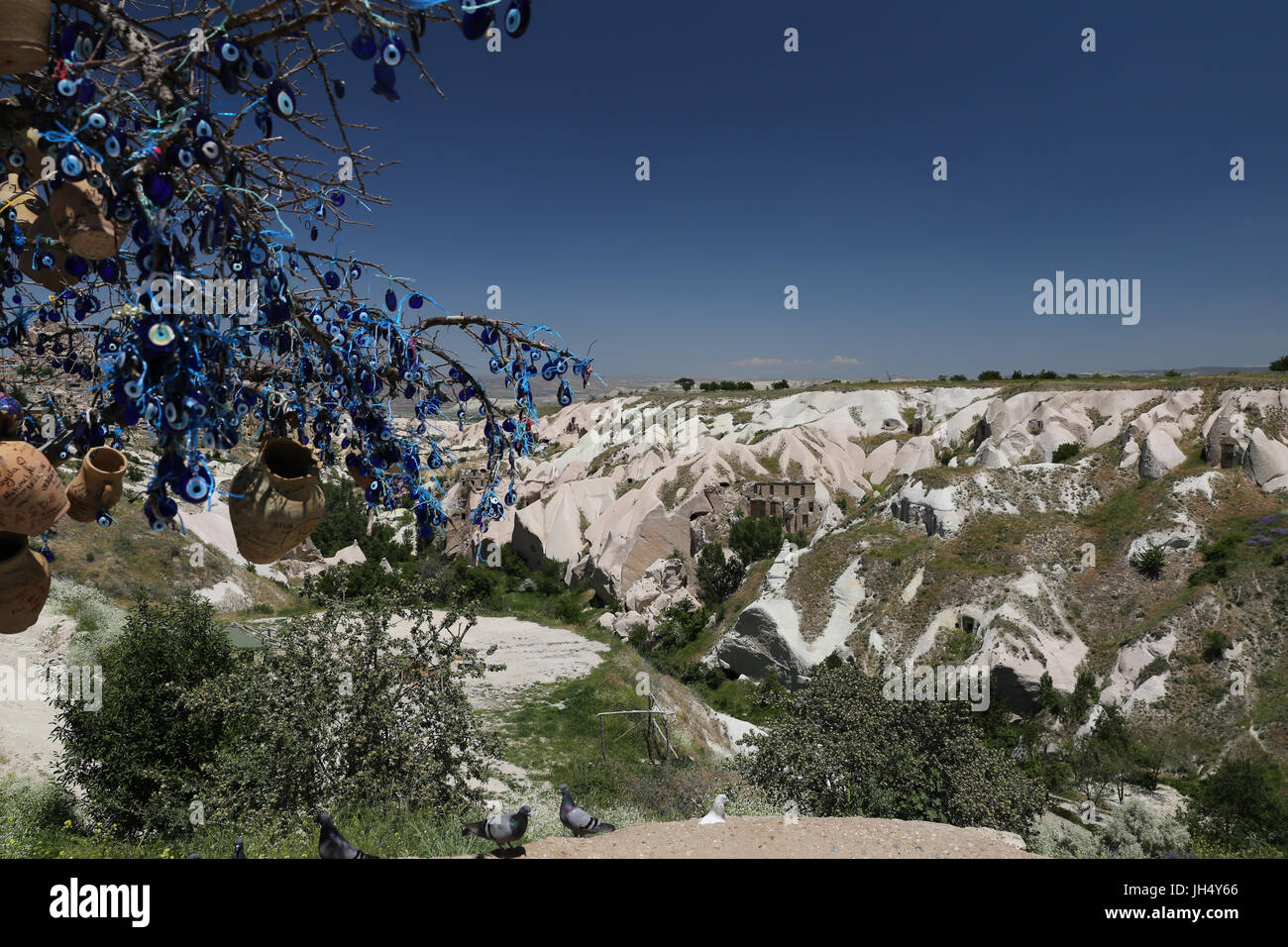 Evil eye tree in cappadocia hi-res stock photography and images