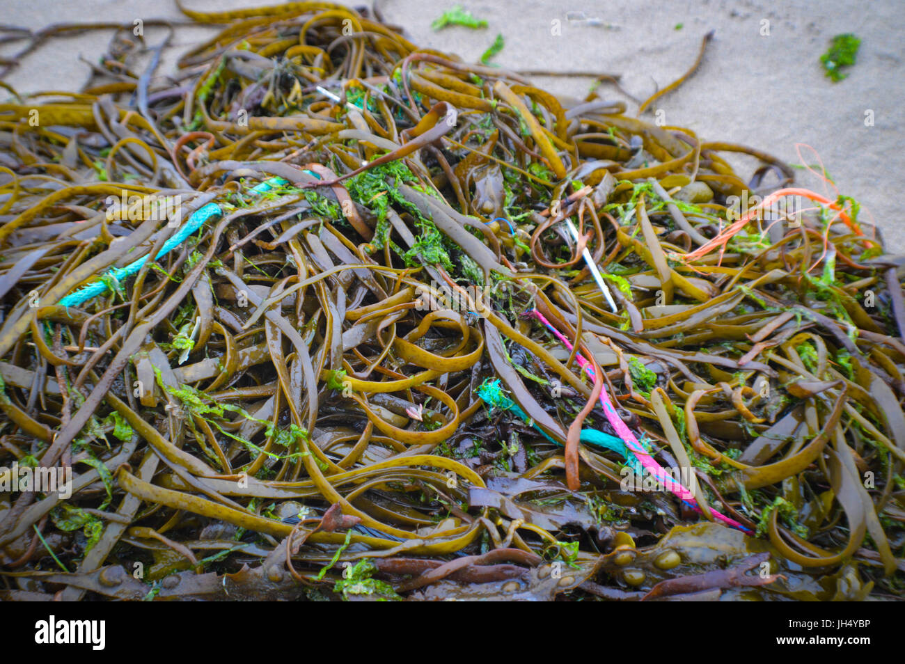 Marine litter (discarded fishing lines) Stock Photo