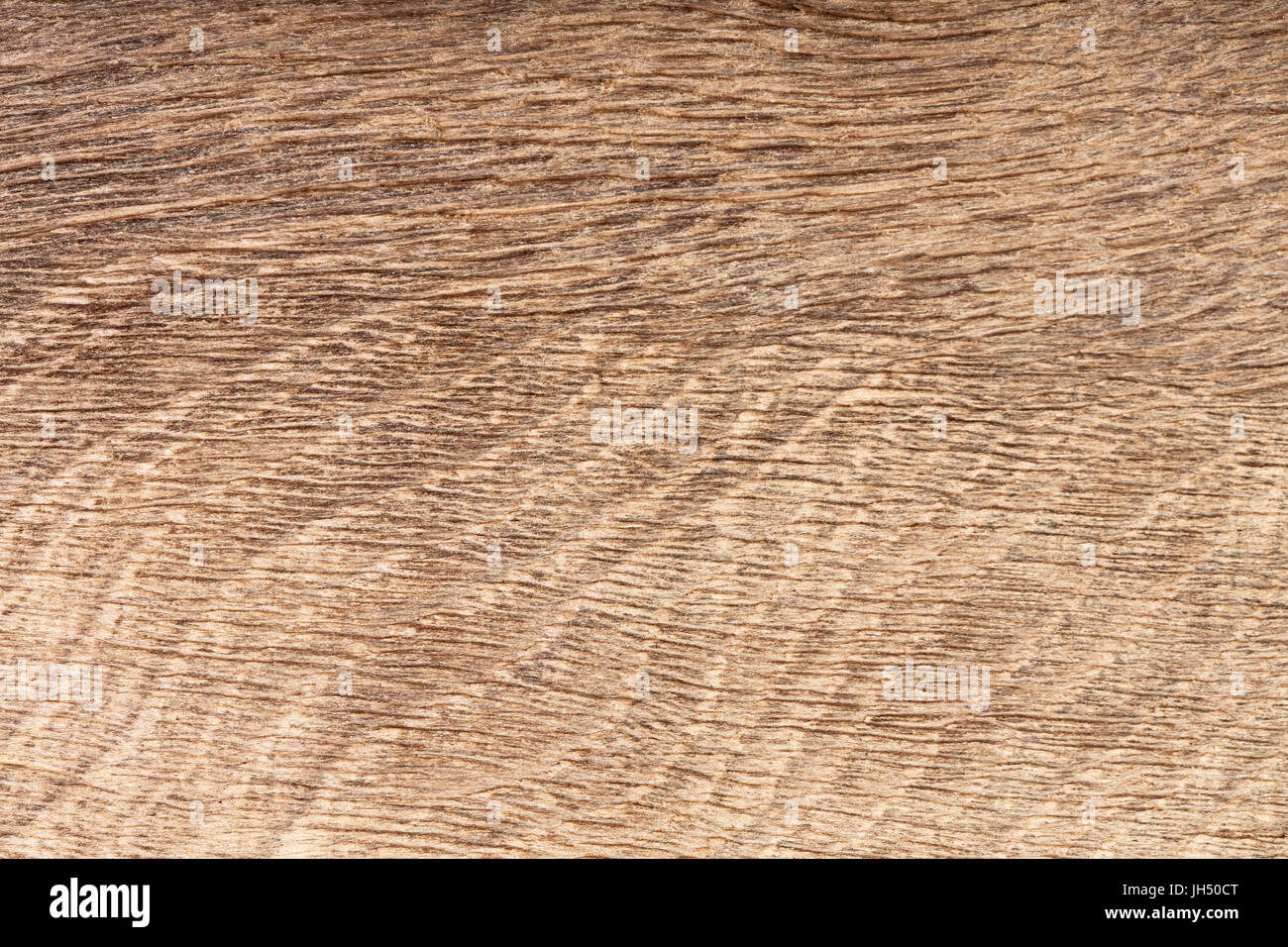 High resolution natural wood bog oak grain texture. Stock Photo