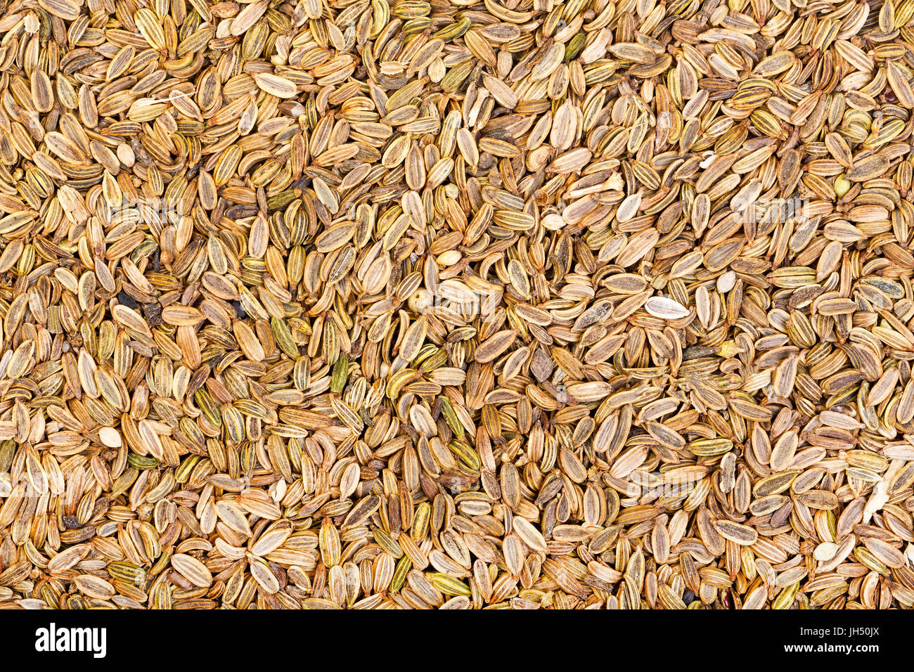 Dried fennel seeds background. Stock Photo