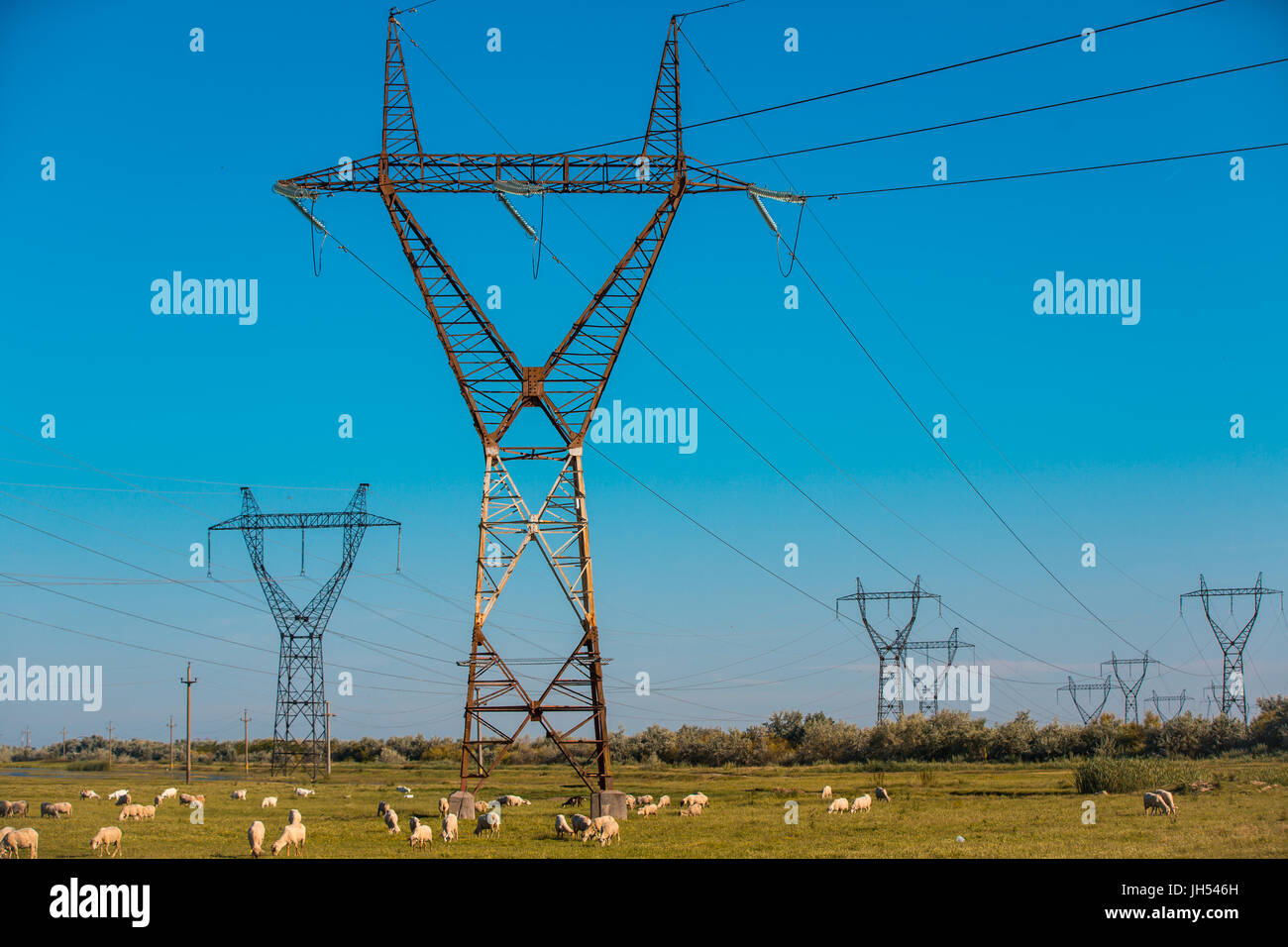 Power pylons and high voltage lines in an agricultural landscape with ...