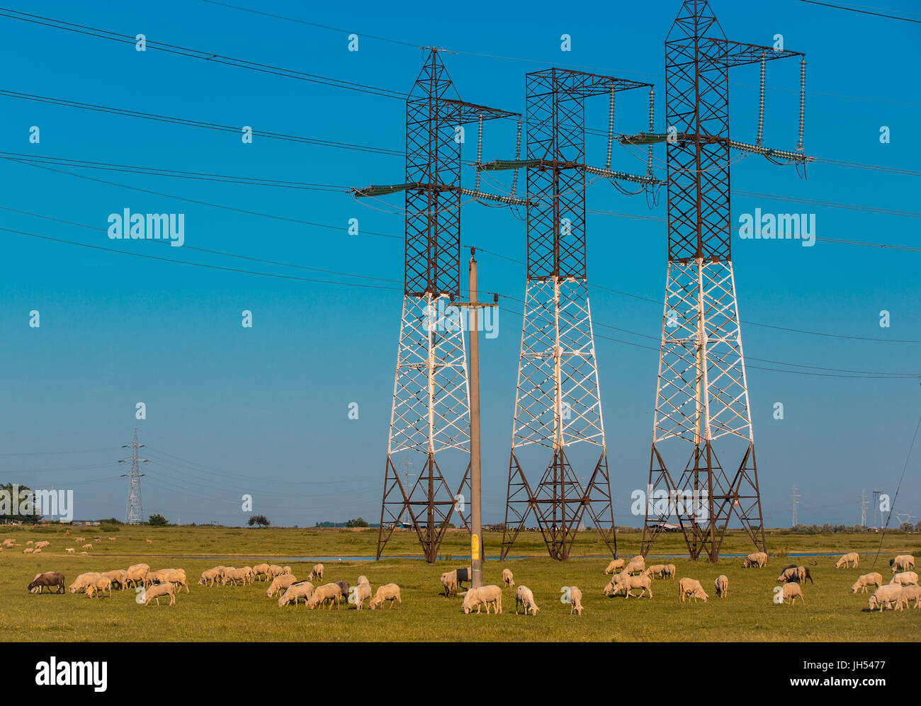 Power pylons and high voltage lines in an agricultural landscape with ...