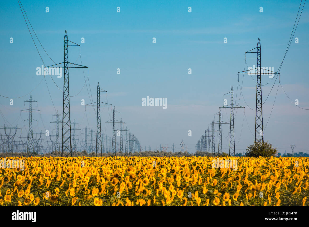 Power pylons and high voltage lines in an agricultural landscape with ...