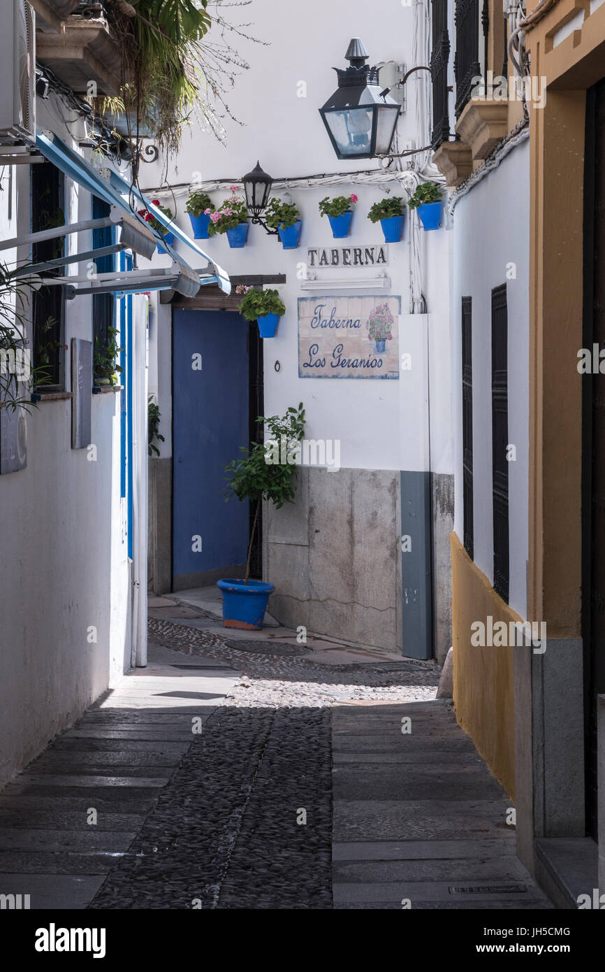 Street of white walls and pots typical of Cordoba, Andalusia, Spain Stock Photo