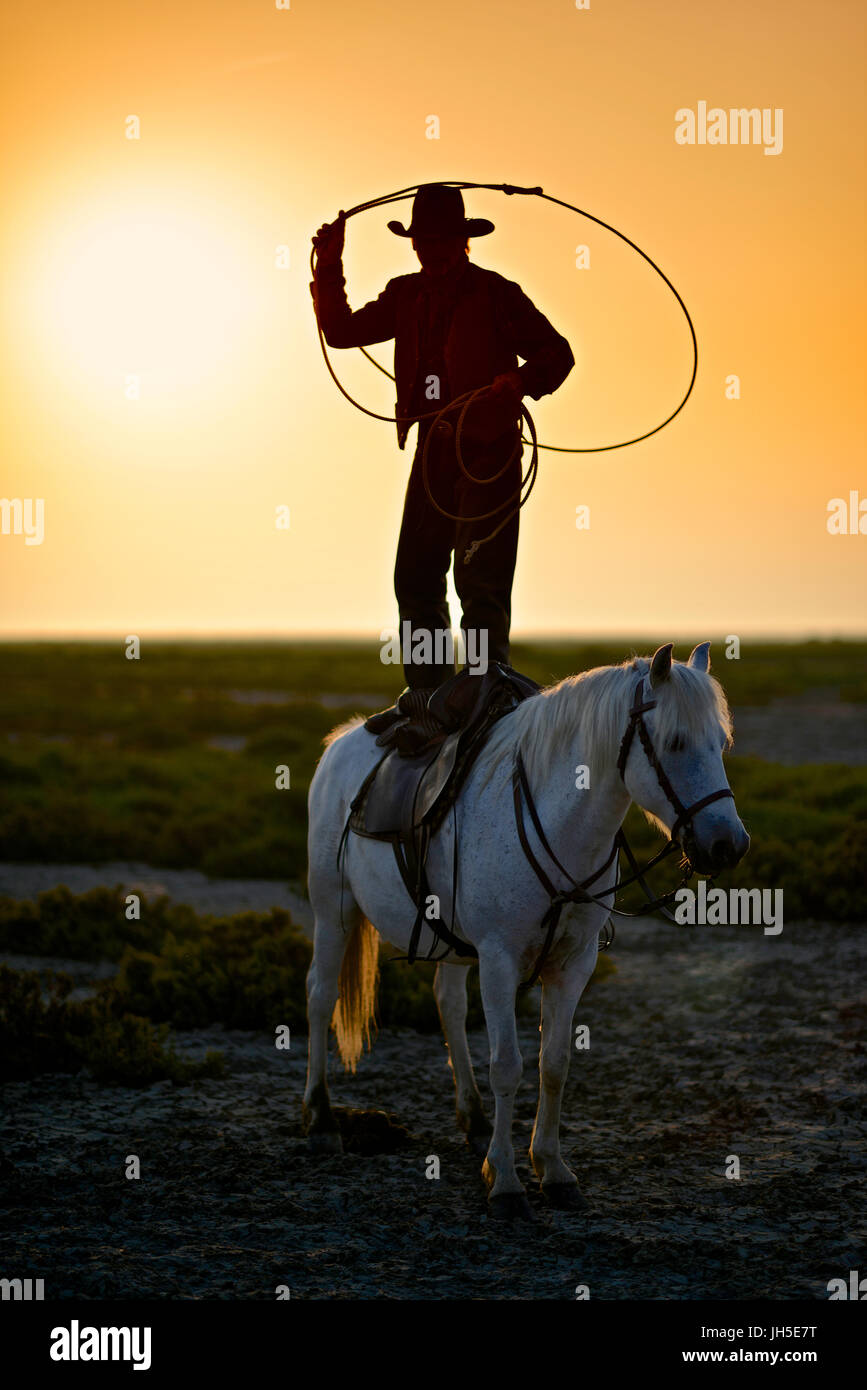 Gardian lassoing standing on a camargue horse. Stock Photo