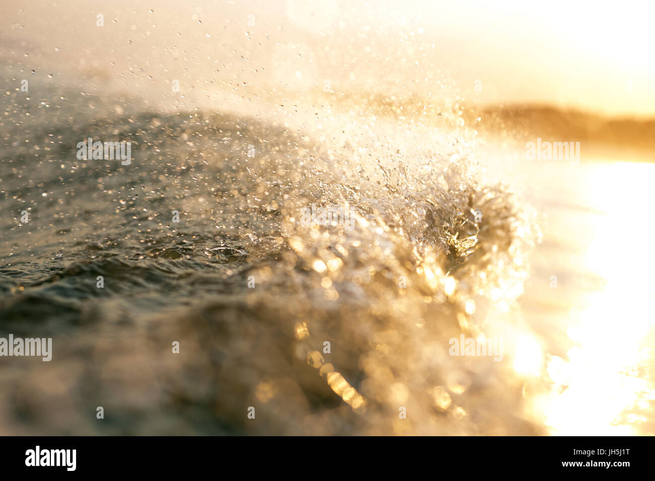 Spray from a breaking wave is illuminated in ethereal, golden light during sunset in this close up image. Stock Photo