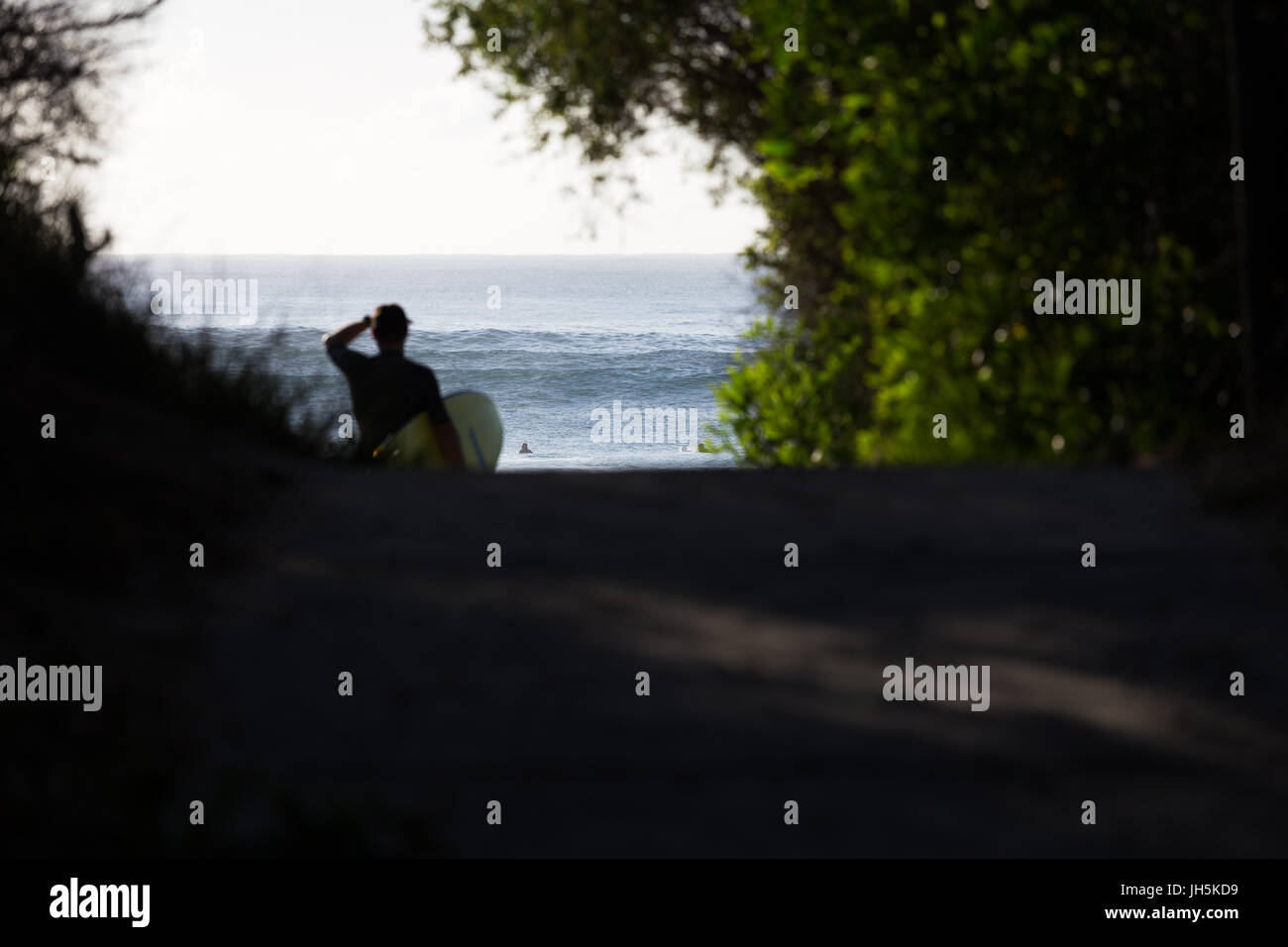 A surfer with surfboard under arm checks the morning surf at a scenic beach in Australia. Stock Photo