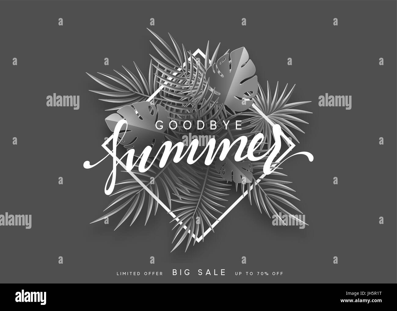 Goodbye summer banner tropical background hires stock photography and
