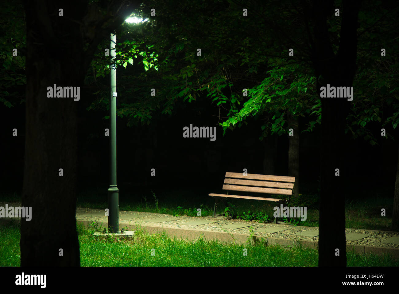 The light from a lamppost shinning onto a wooden bench and the surrounding grass with two trees as silhouettes at night. Stock Photo
