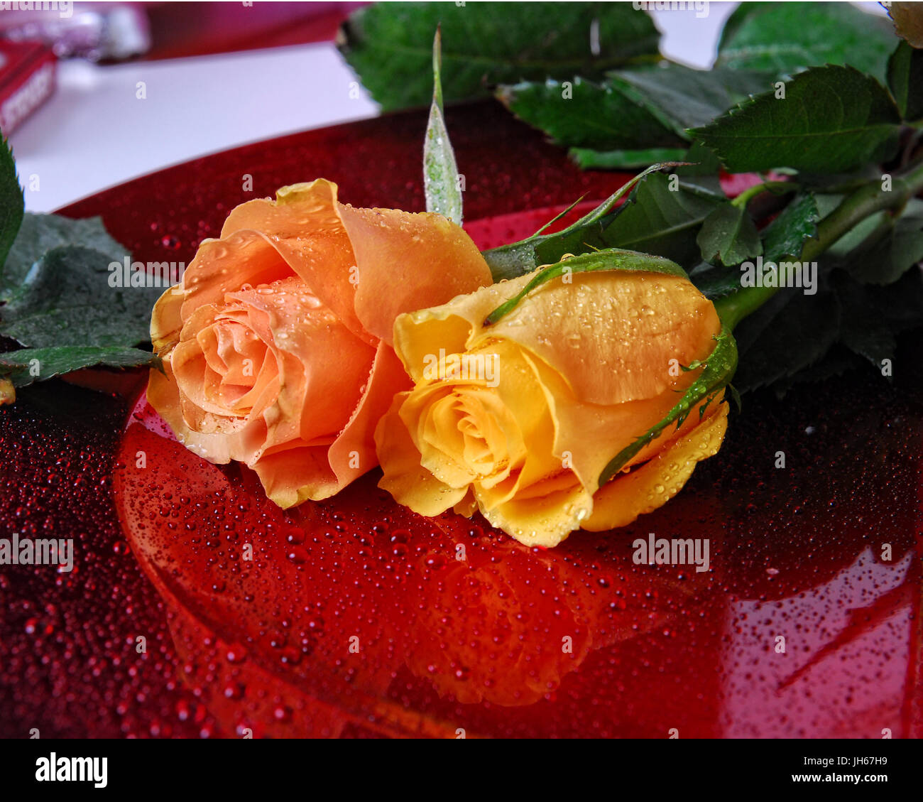 Roses, rose petals and tea lights as … – License Images – 11062612 ❘  StockFood