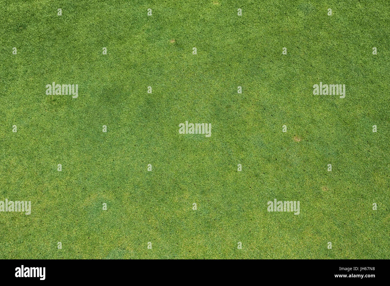 Detailed background of golf course putting green grass Stock Photo Alamy