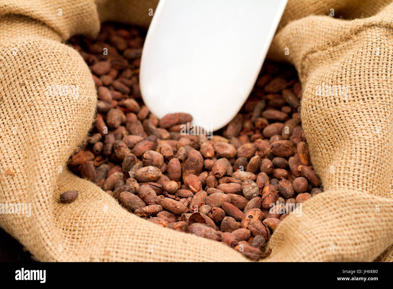 Cocoa Beans In Sack High Resolution Stock Photography And Images Alamy