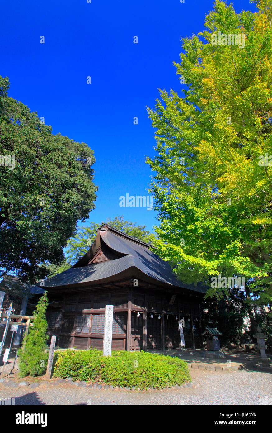 Kumagawa Jinja Shrine in Fussa city Tokyo Japan Stock Photo