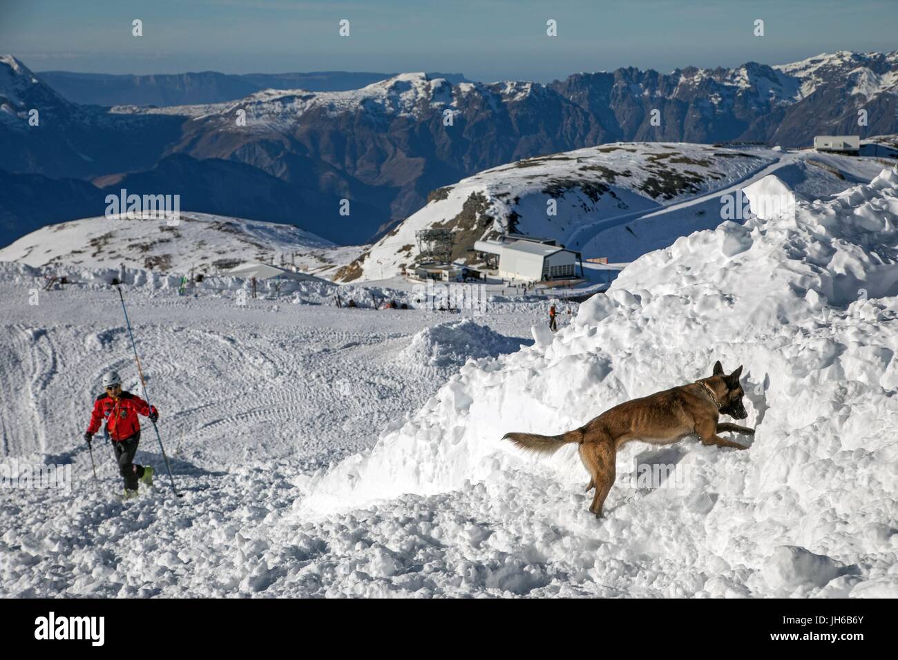 AVALANCHE RESCUE WITH THE DOG HANDLERS Stock Photo - Alamy