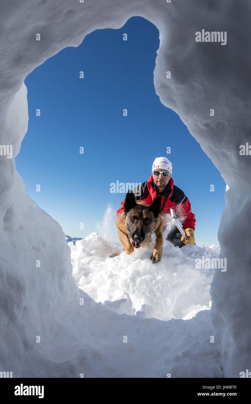 AVALANCHE RESCUE WITH THE DOG HANDLERS Stock Photo - Alamy