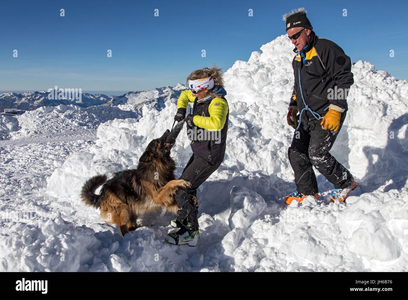 AVALANCHE RESCUE WITH THE DOG HANDLERS Stock Photo - Alamy