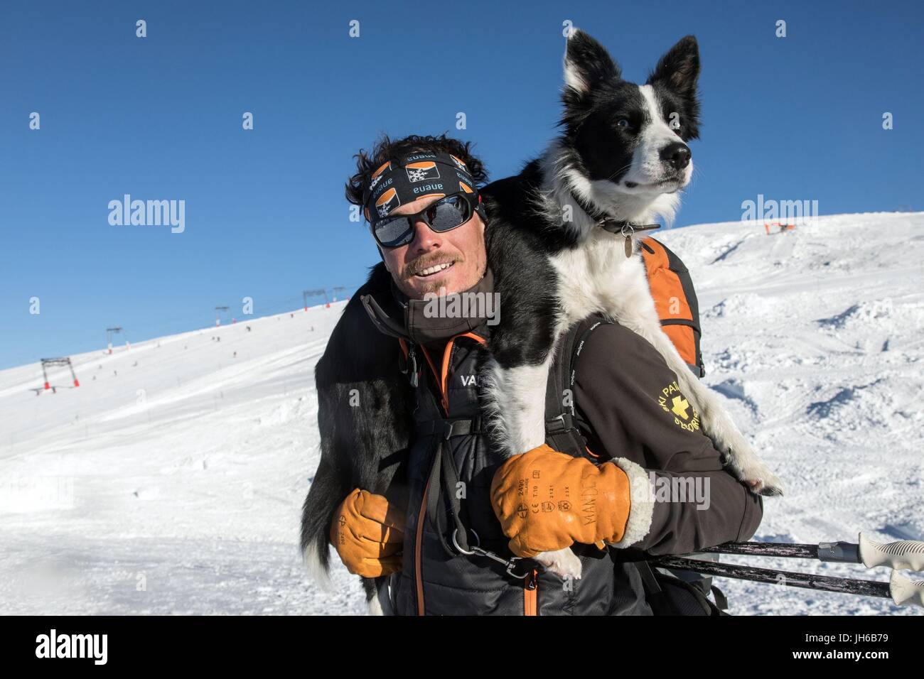 AVALANCHE RESCUE WITH THE DOG HANDLERS Stock Photo - Alamy