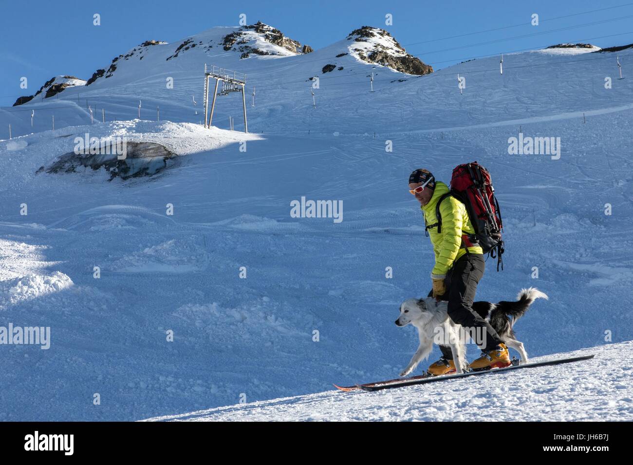 AVALANCHE RESCUE WITH THE DOG HANDLERS Stock Photo - Alamy