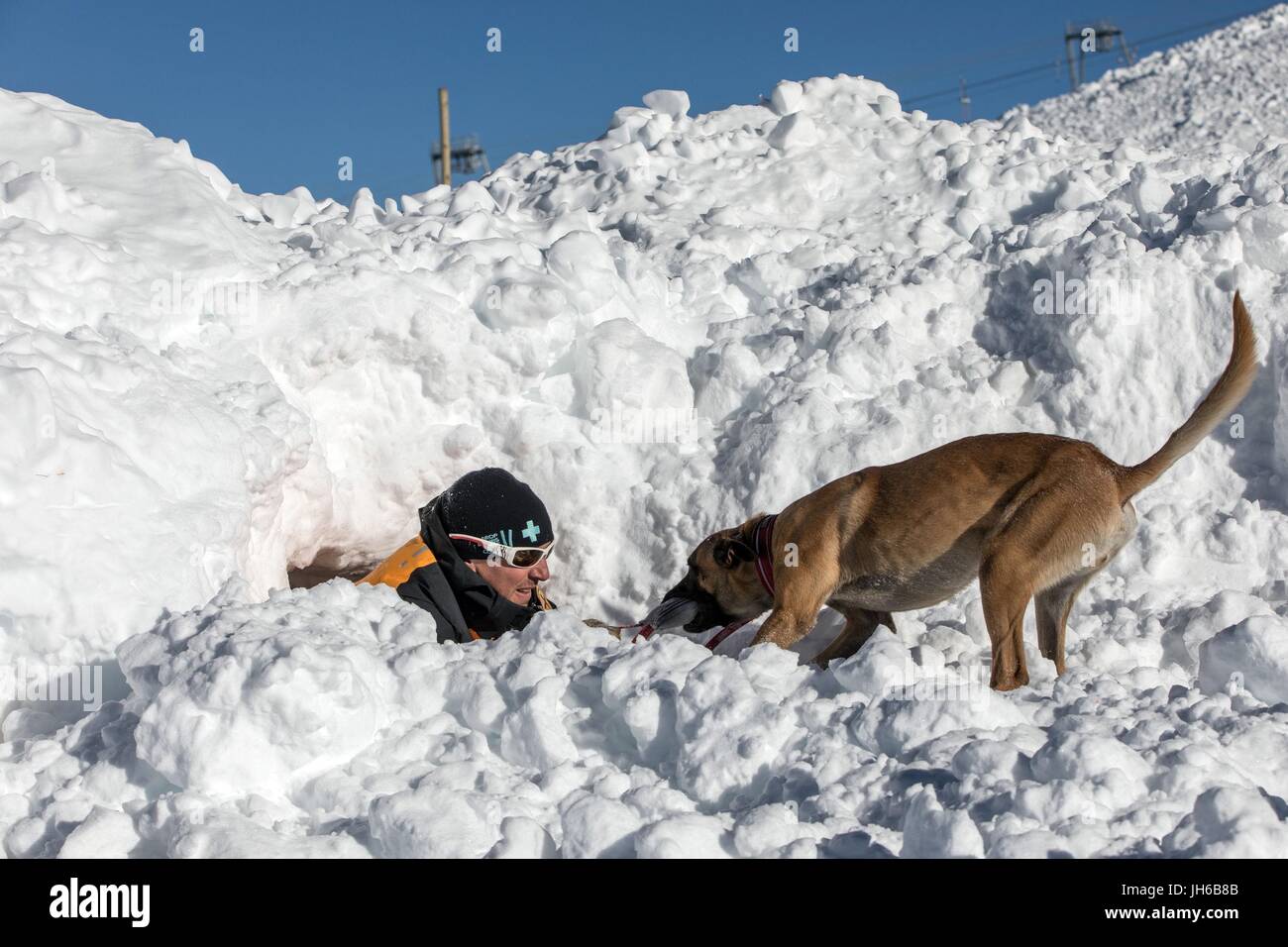 AVALANCHE RESCUE WITH THE DOG HANDLERS Stock Photo - Alamy