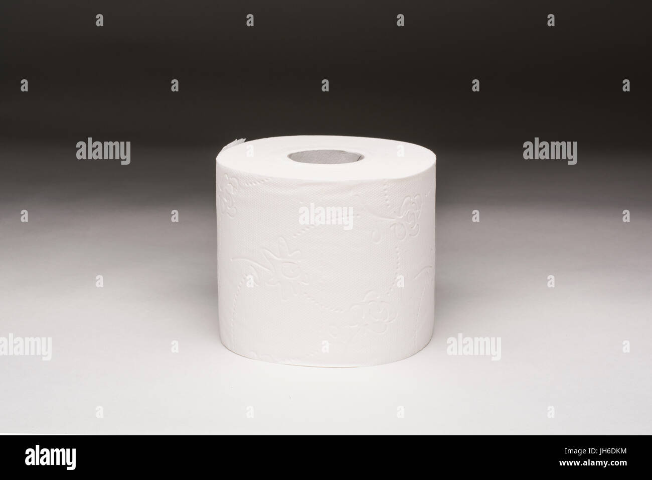 A toilet roll photographed on a graduated background Stock Photo