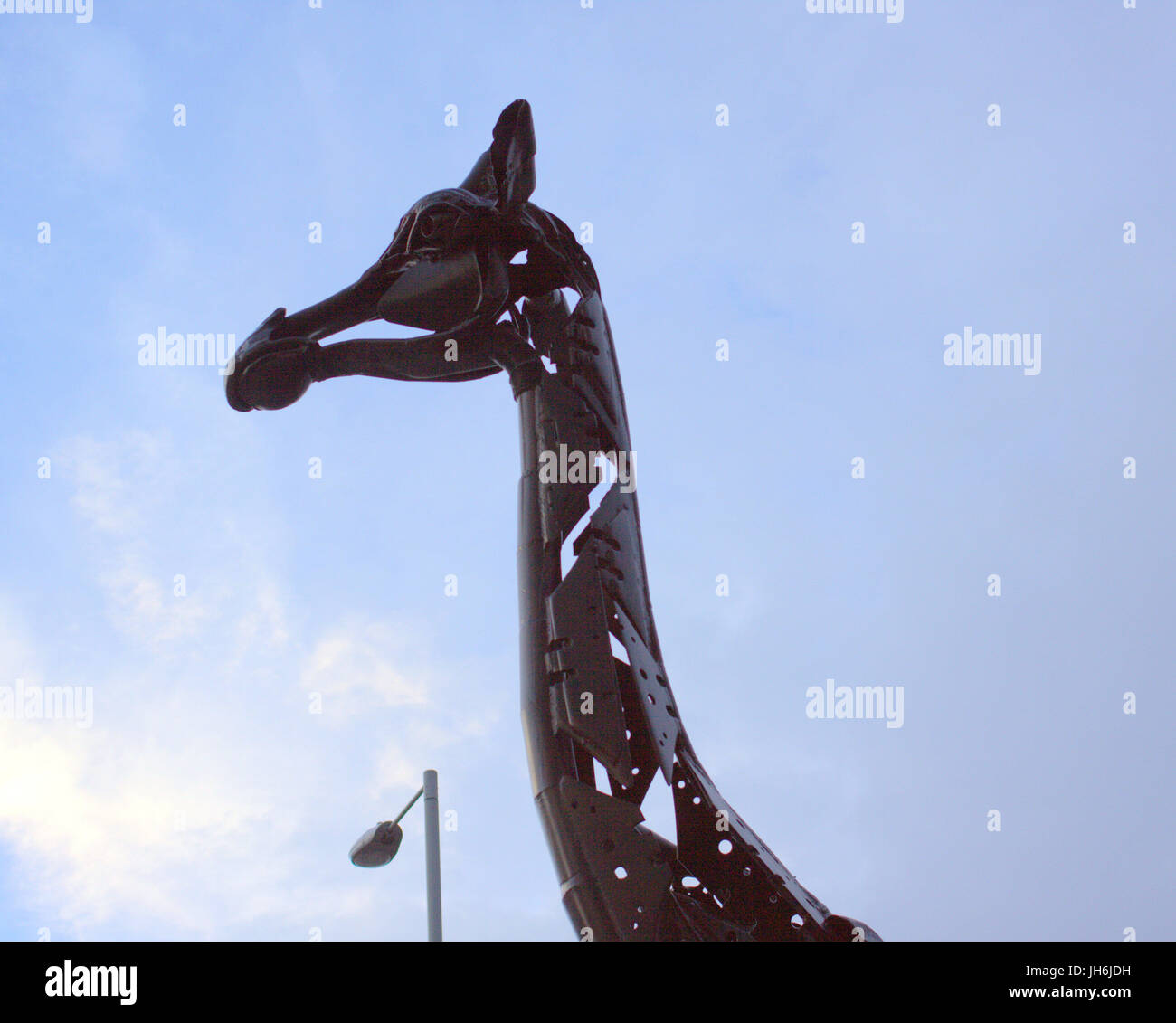giraffe art work statues necks Edinburgh Stock Photo